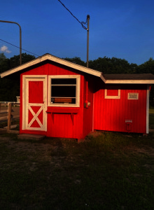 2025 Summer Newsletter