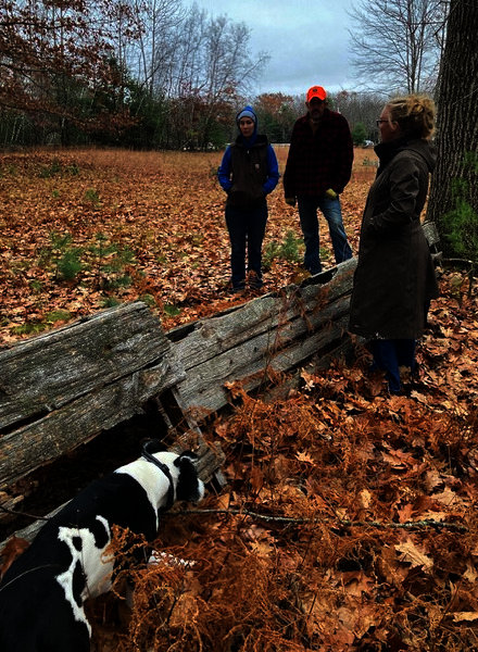 Spring Newsletter 2026